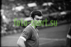 1_foto-5
