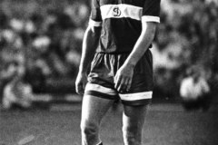 Юрий Вшивцев Динамо