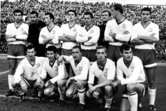 dinamo-14